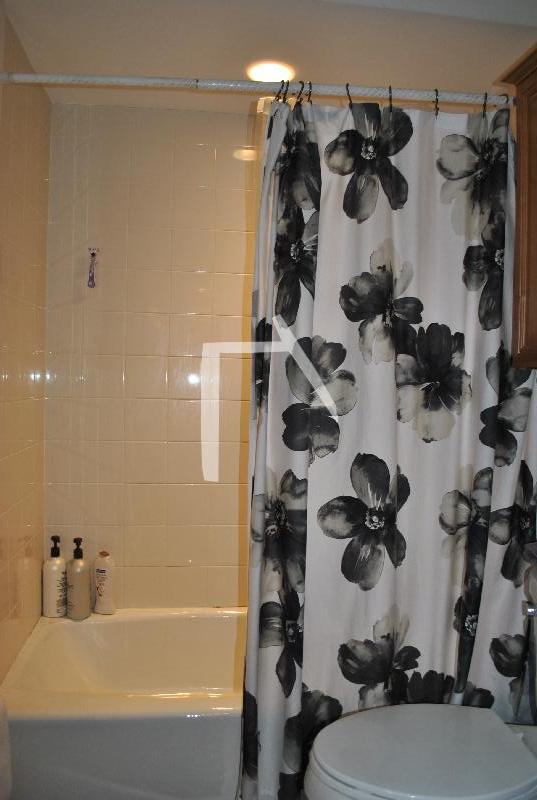 89 Myrtle St, Beacon Hill