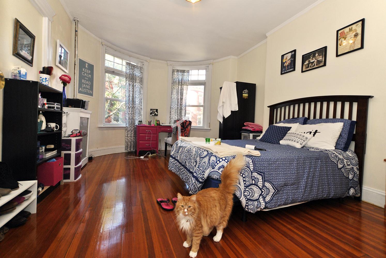 10 Strathmore Rd, Brookline