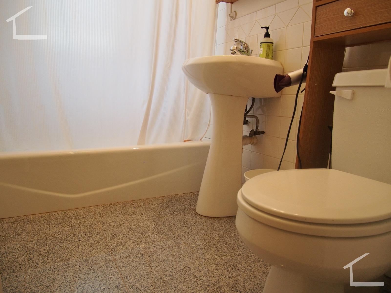 11 Scottfield Rd, Brighton