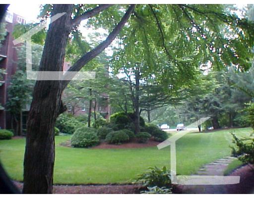 2 bed, 2 bath apartment for rent at 50 Broadlawn Park Unit 515, Chestnut Hill — photo 10 of 27