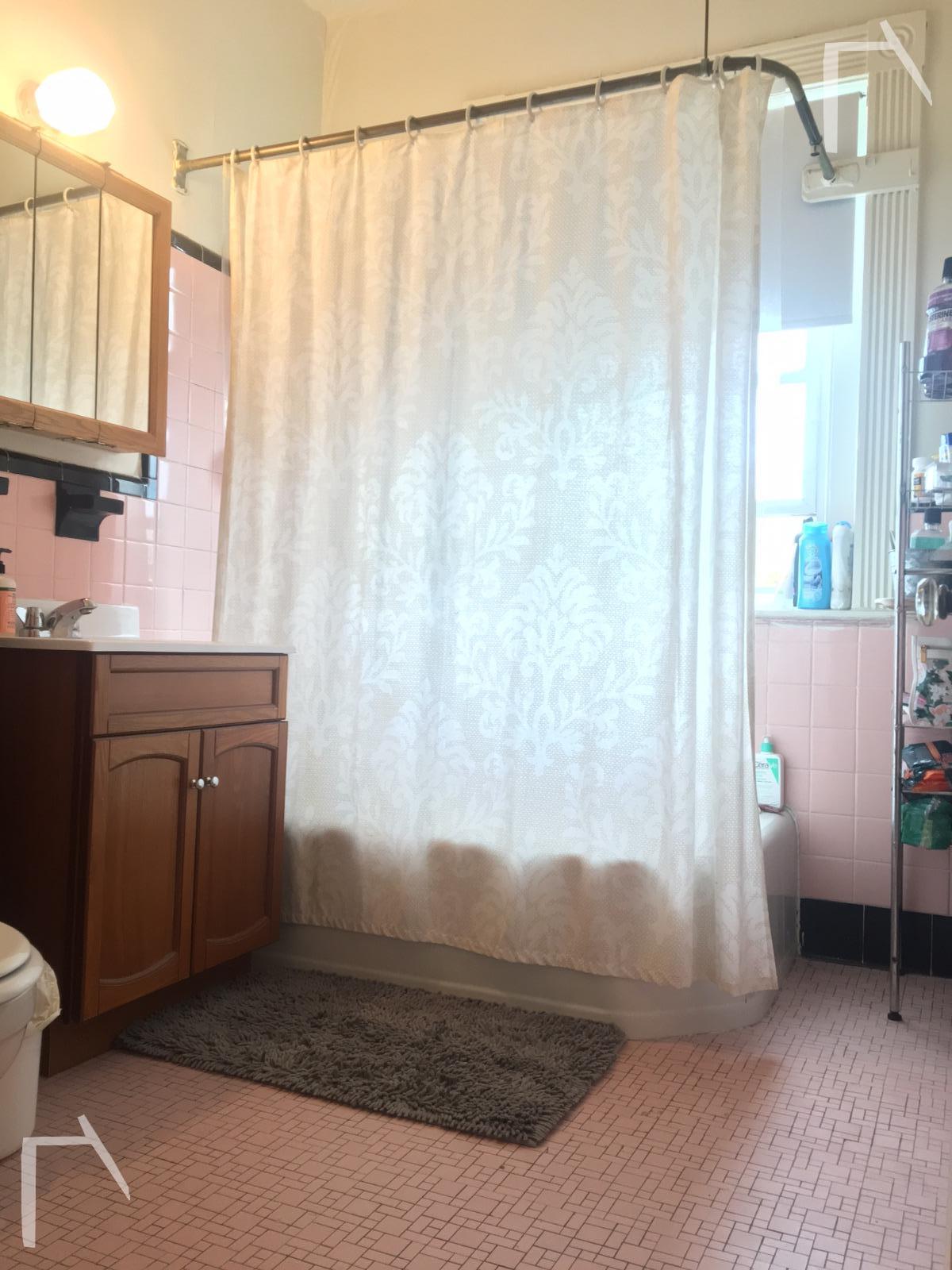 2 bed, 1 bath apartment for rent at 1595 Beacon St Unit 8, Washington Square — photo 4 of 9