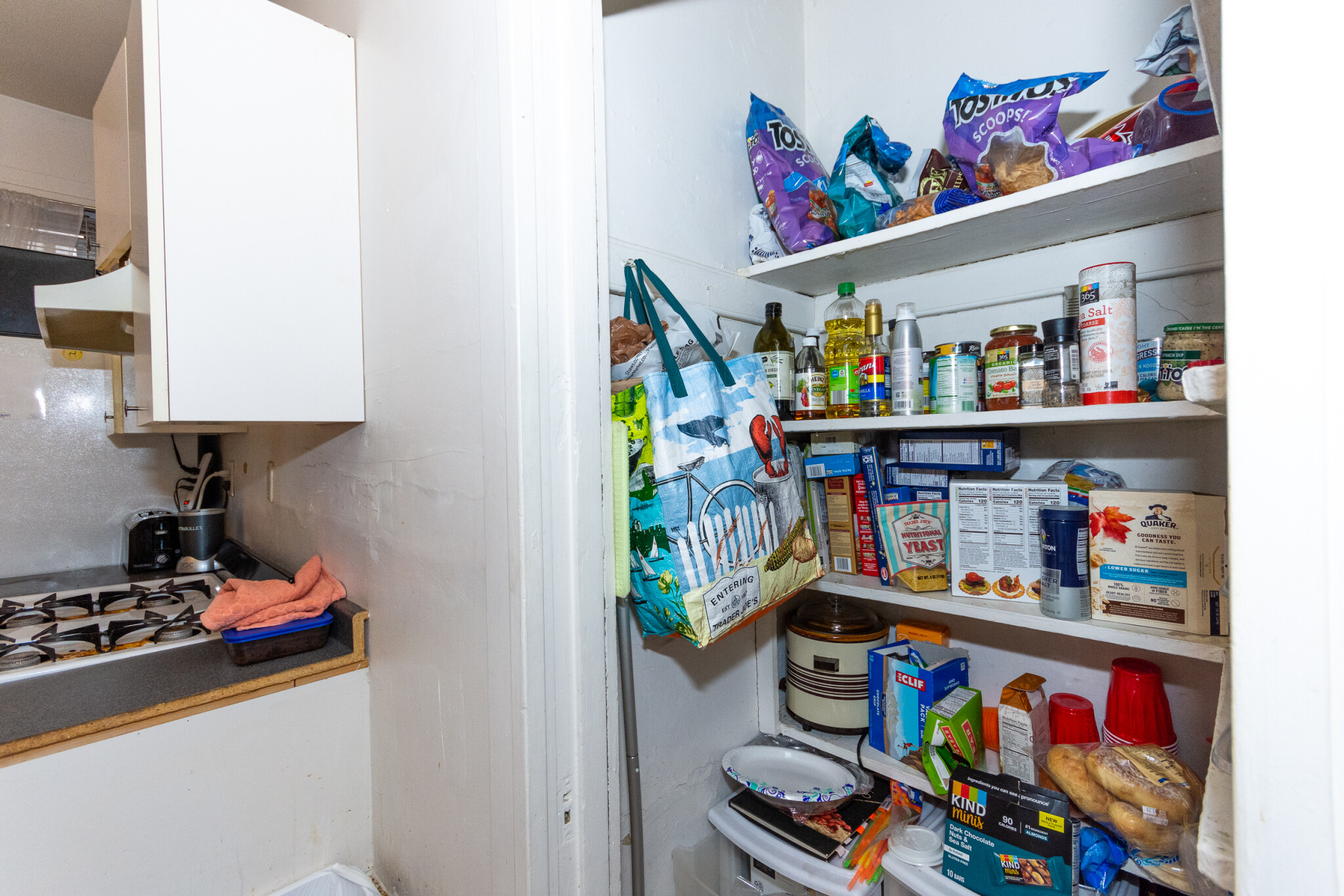 48 Brighton Ave, Brighton