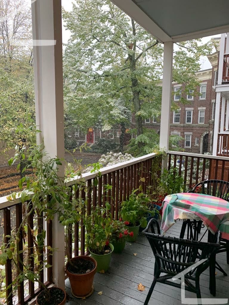 2 bed, 2 bath apartment for rent at 94 Browne Unit 1, Coolidge Corner — photo 3 of 12