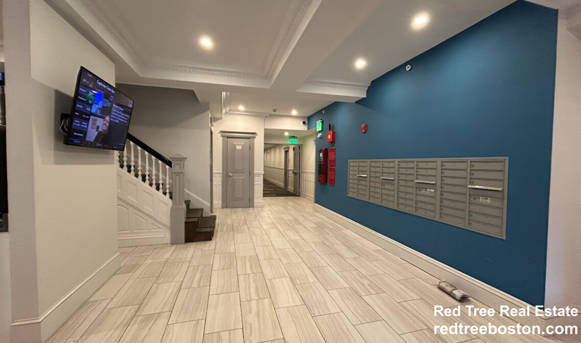 11 Queensberry St, Fenway