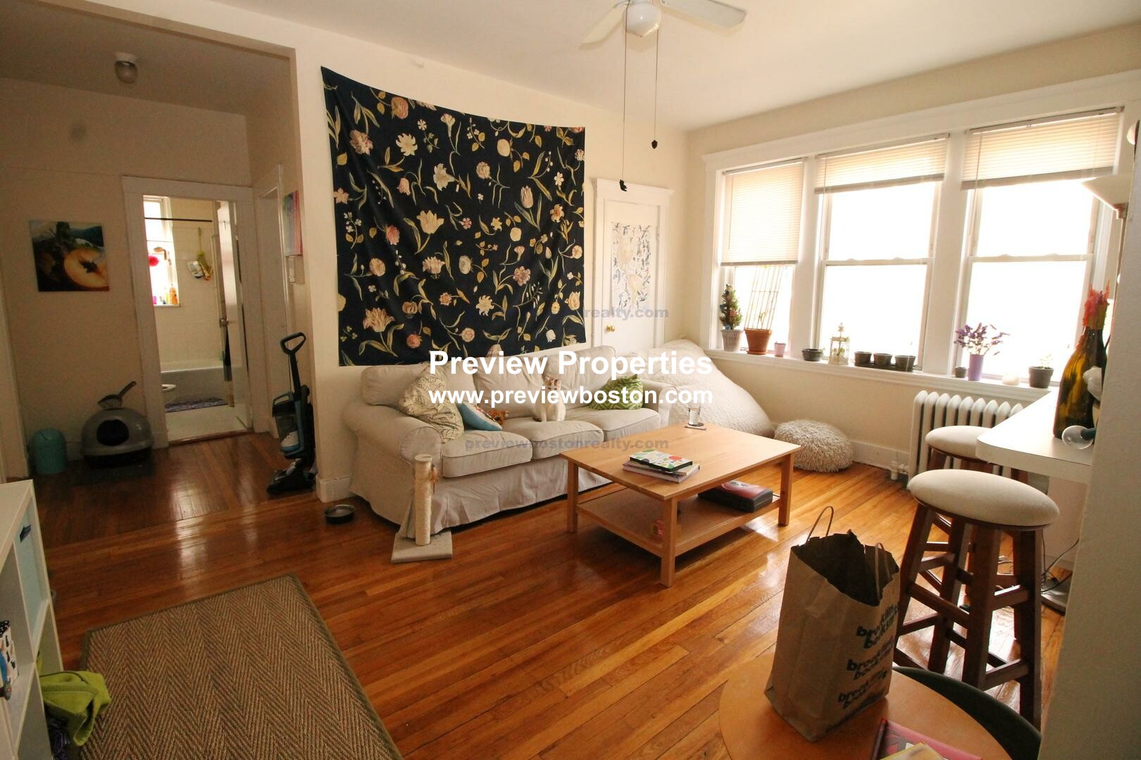 229 Kelton St, Brighton