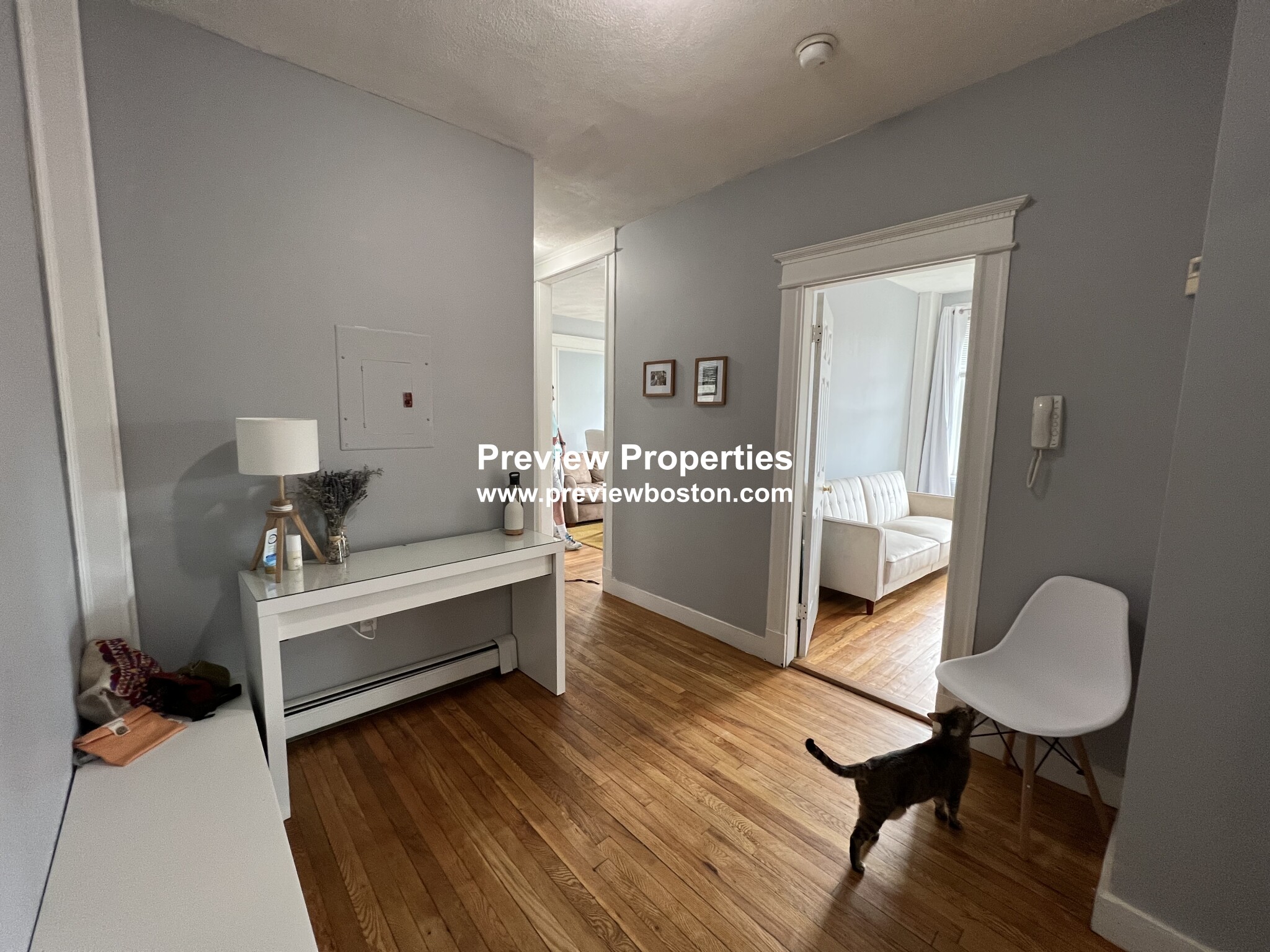 1665 Commonwealth Ave, Brighton