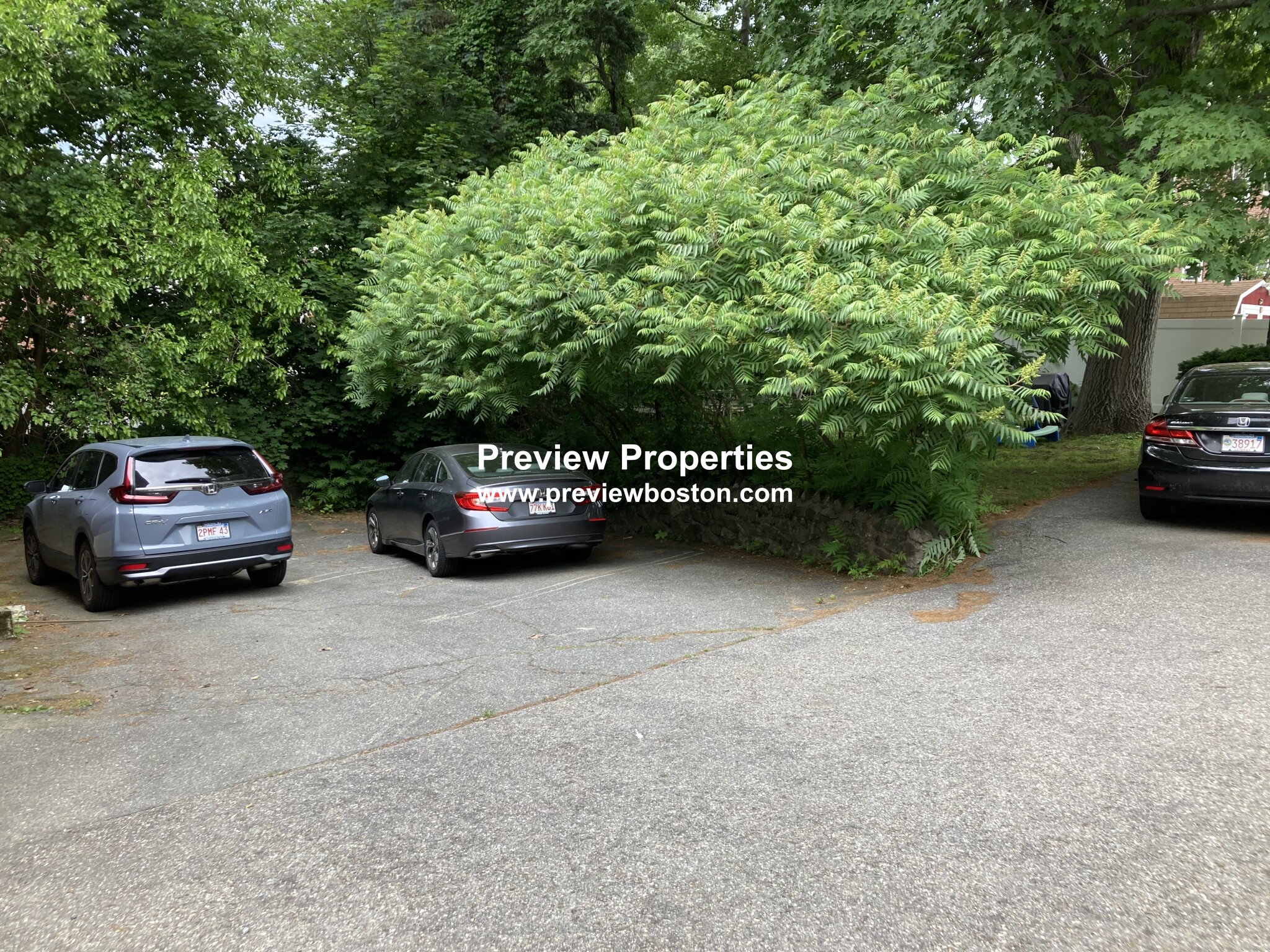3 bed, 1 bath apartment for rent at 52 Westchester Rd Unit 2A, Newton — photo 26 of 26
