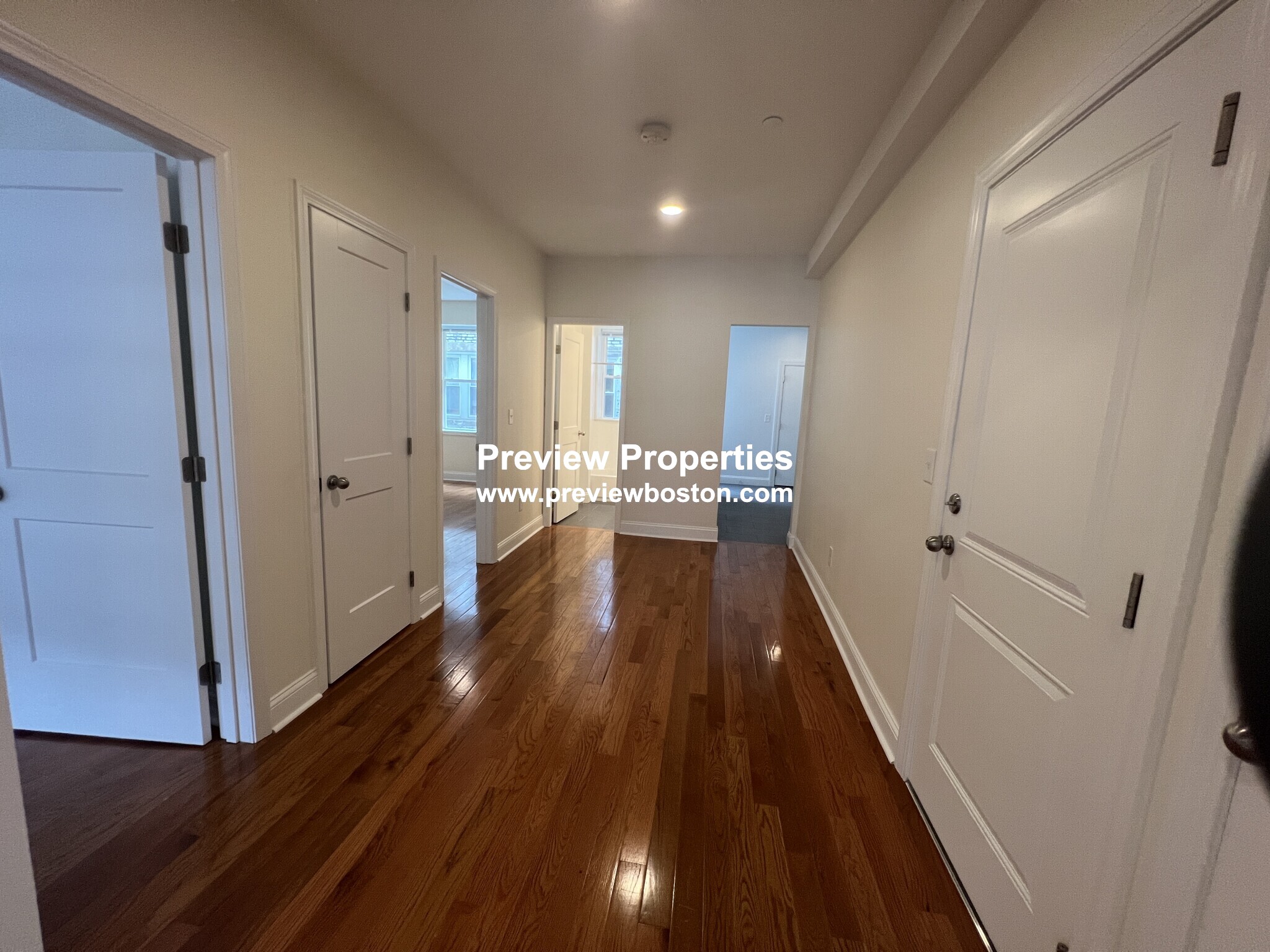 123 Sutherland Rd, Brighton