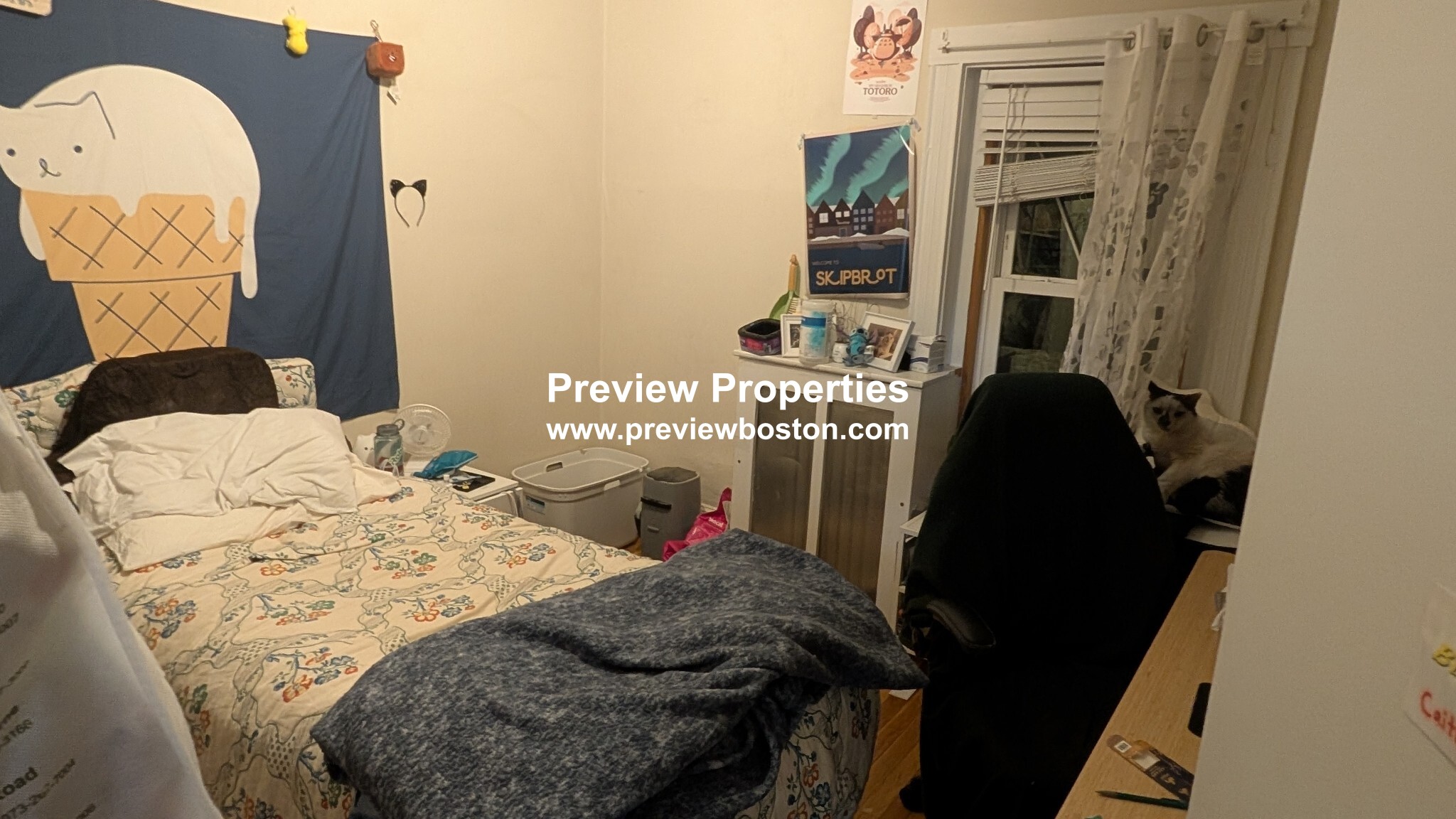 45 Westland Ave, Fenway