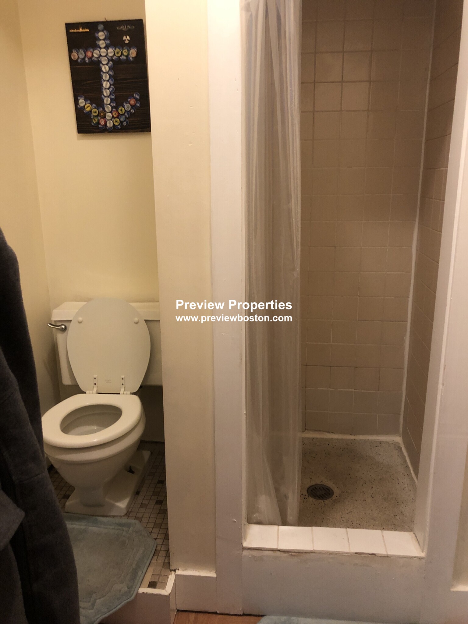 41 Anderson St, Beacon Hill