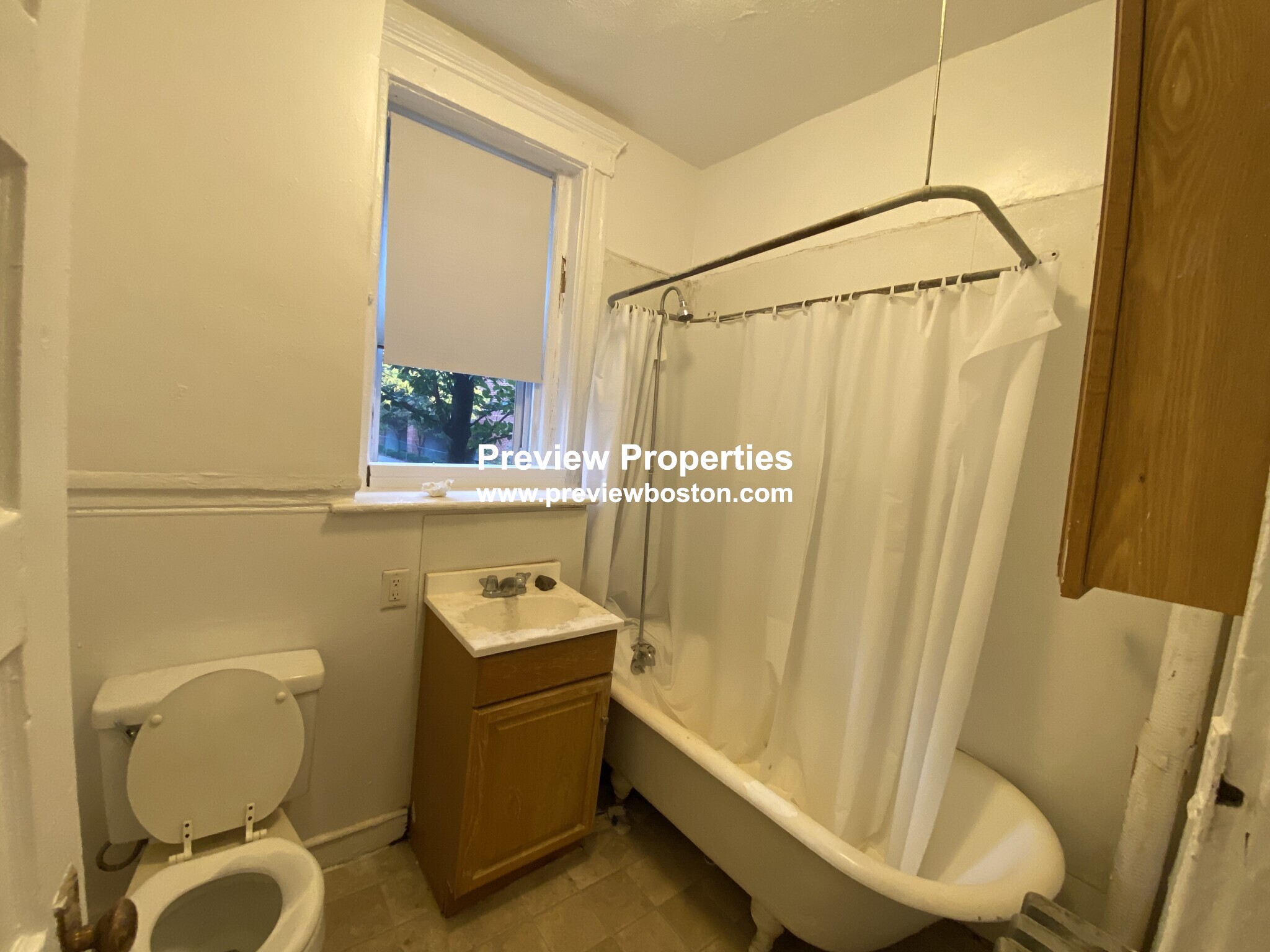 19 Mount Hood Rd, Brighton