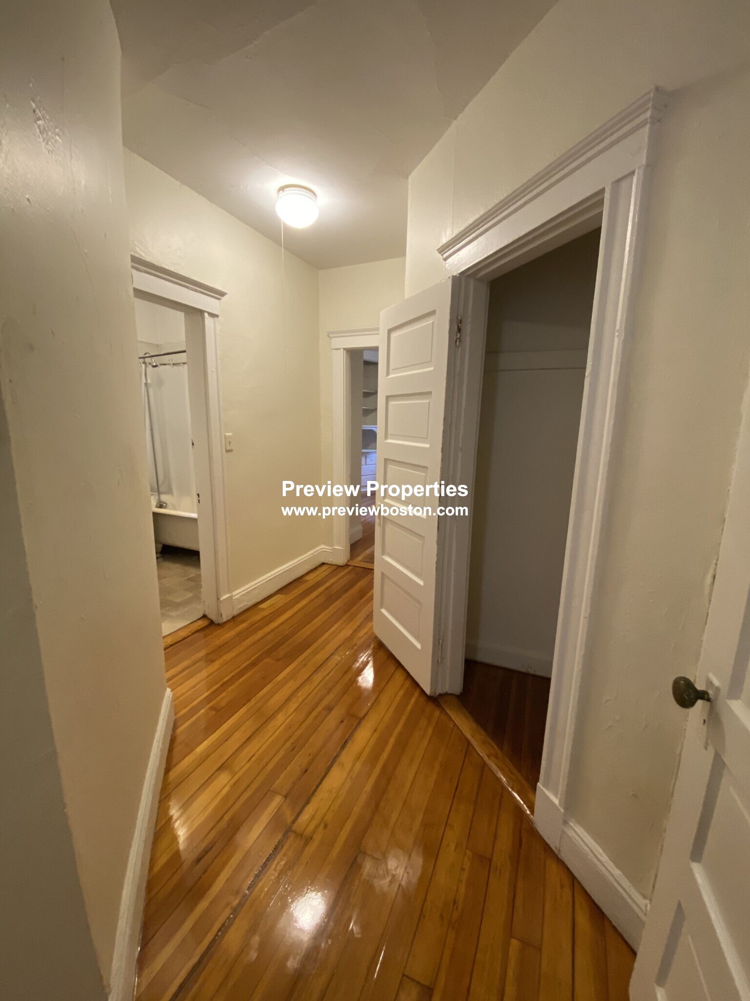 19 Mount Hood Rd, Brighton