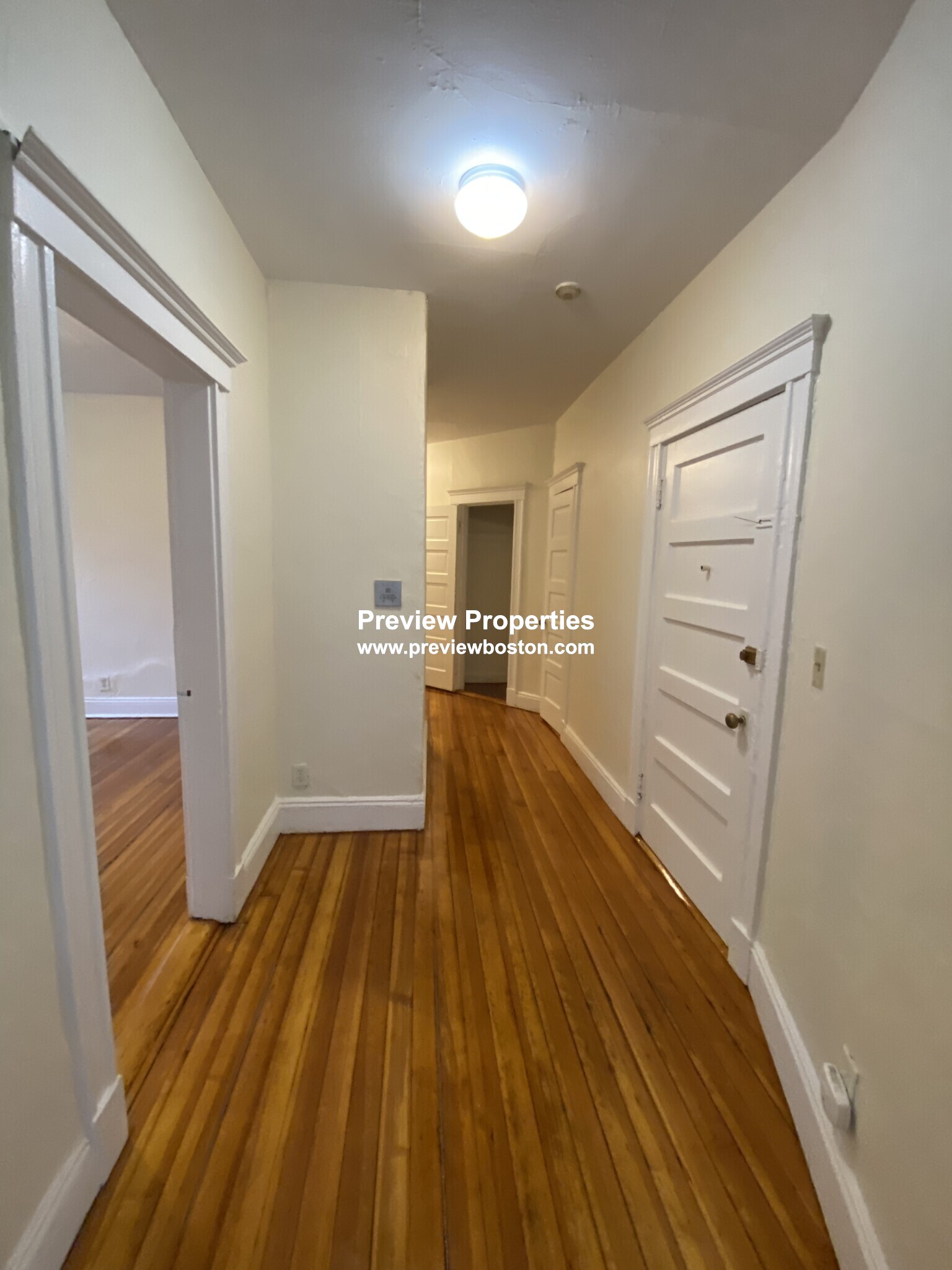 19 Mount Hood Rd, Brighton