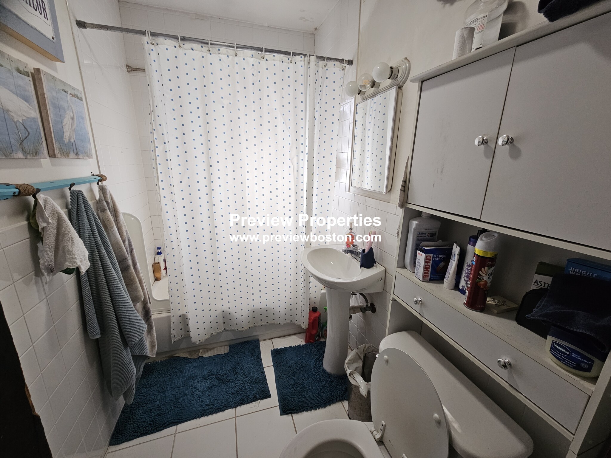 11 Lane Park, Brighton