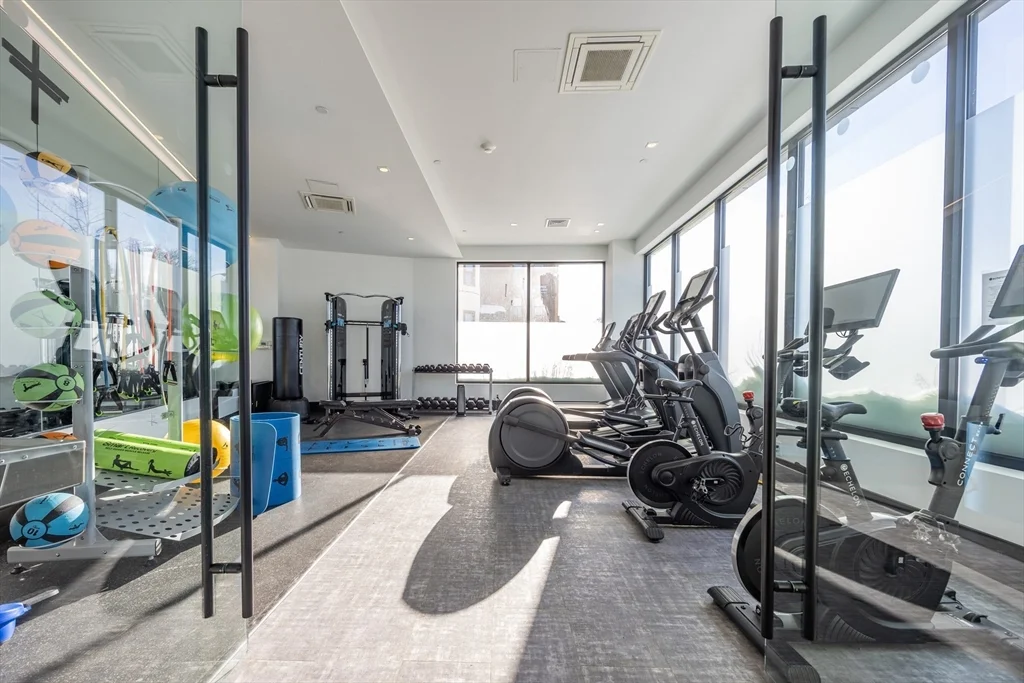 50 Leo M Birmingham Pkwy, Brighton