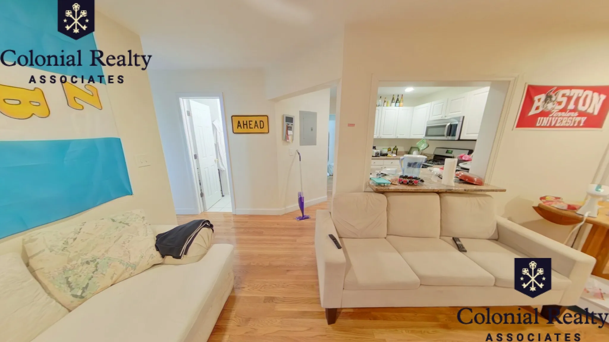 62 Egmont St, North Brookline