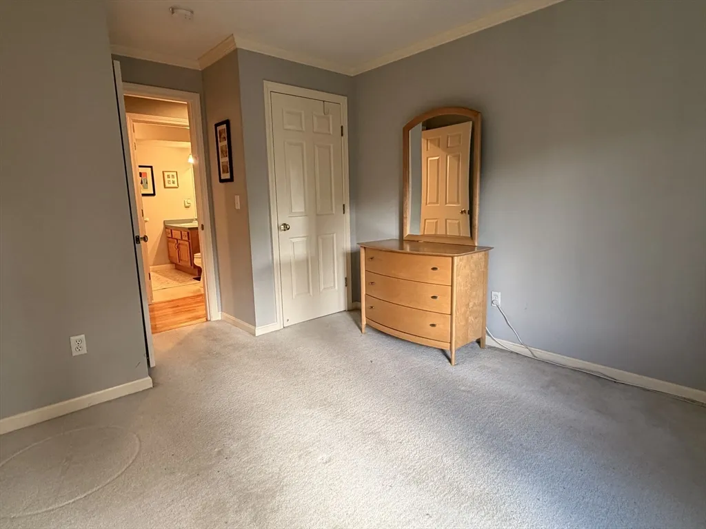 7 Conant Rd, Winchester