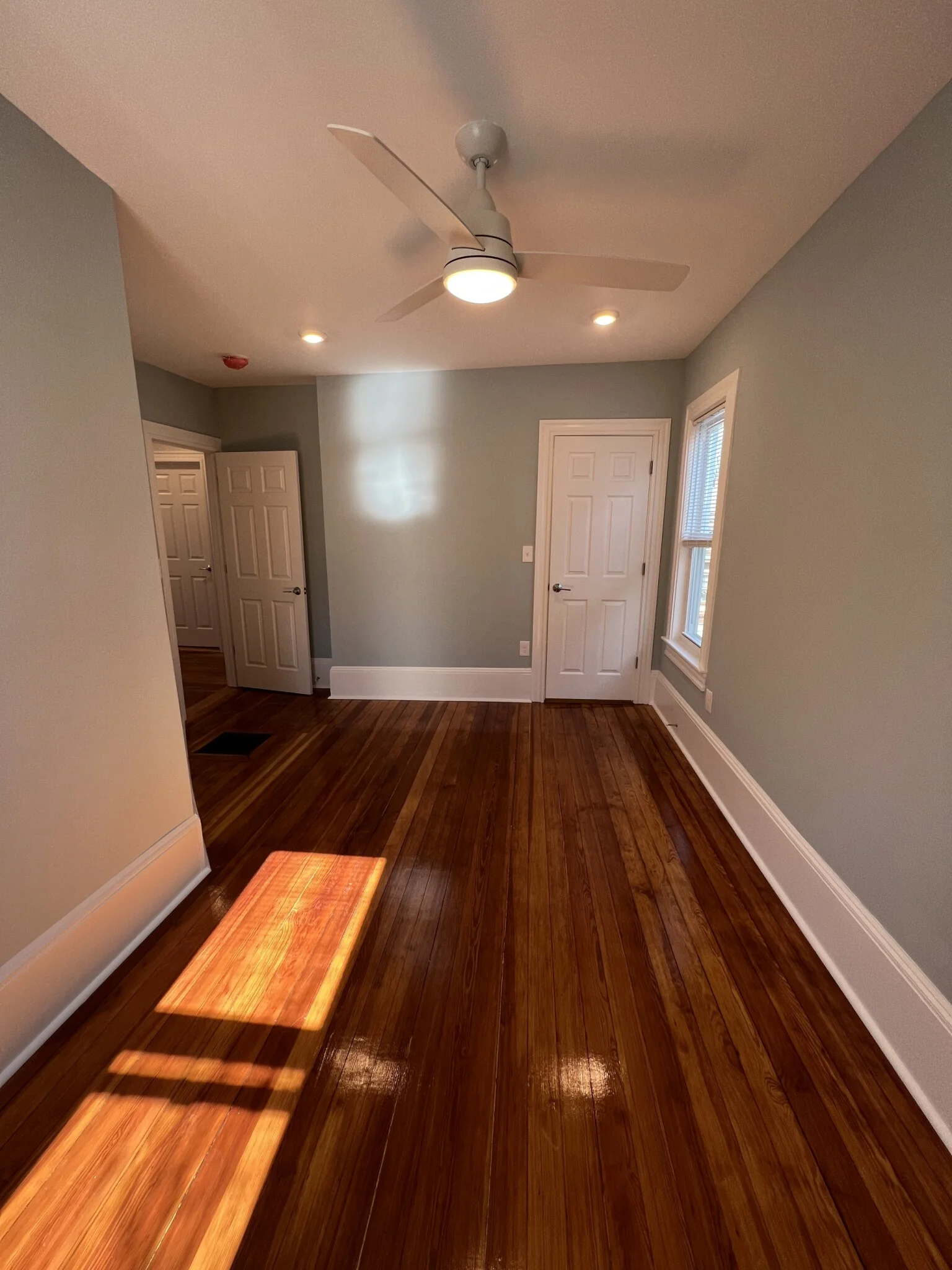 3 Mossland St, Spring Hill