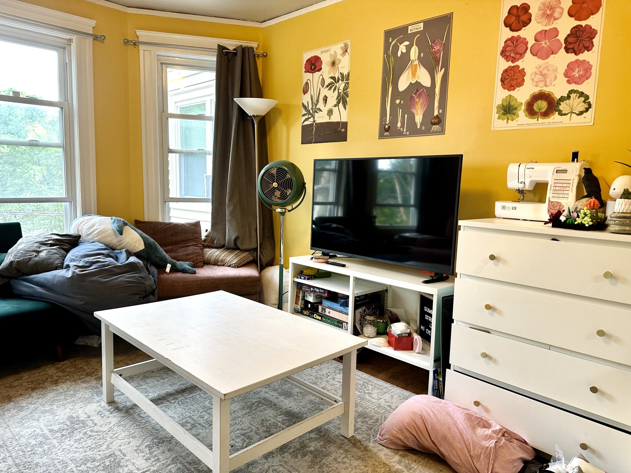 223 Summer St, Spring Hill