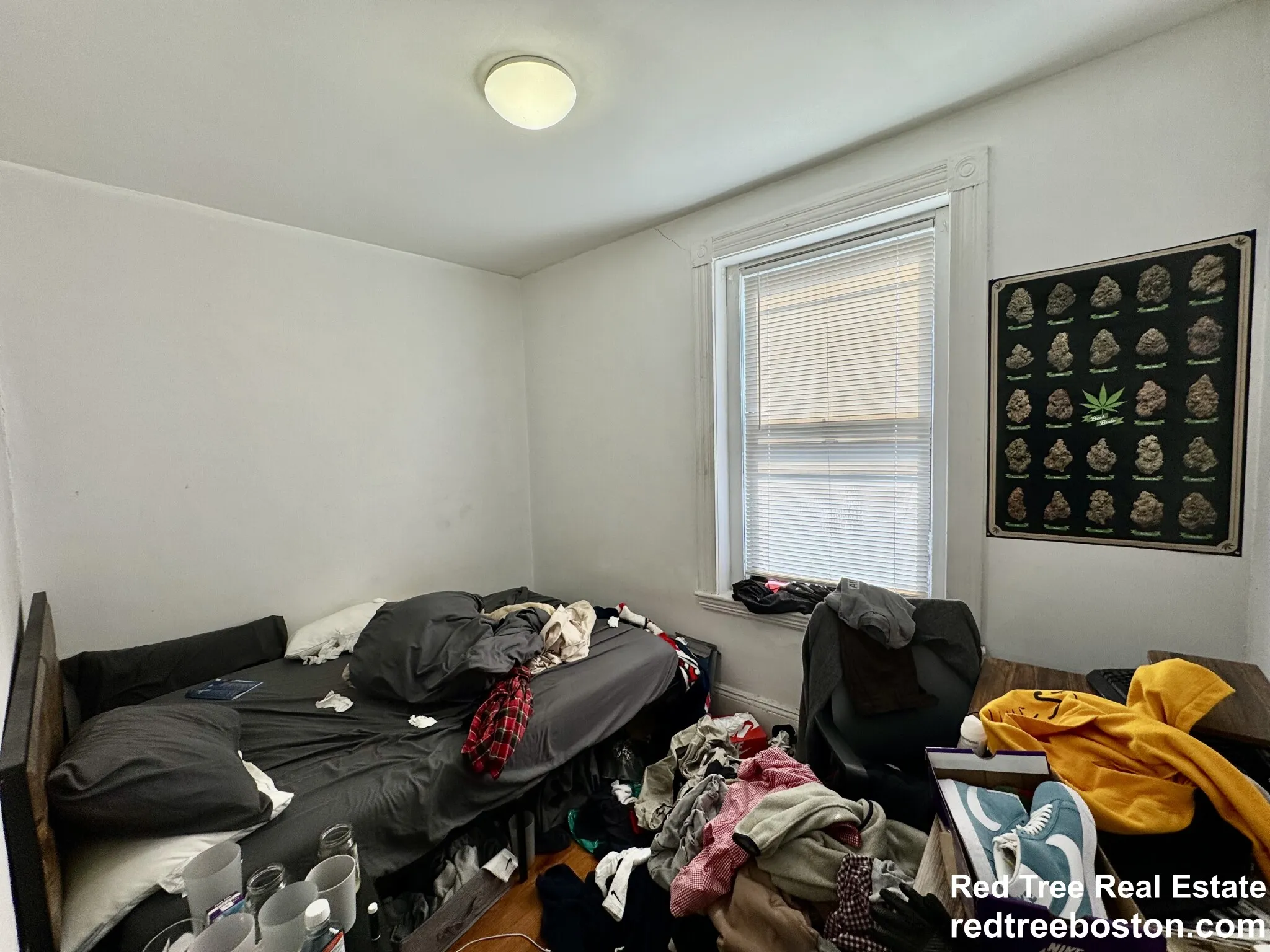 872 Huntington Ave, Mission Hill