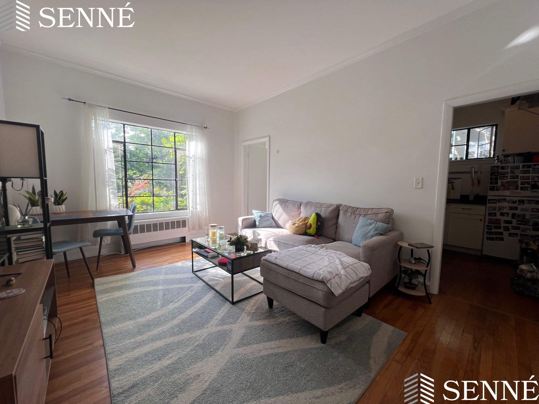 21 Ellery St, Mid-Cambridge