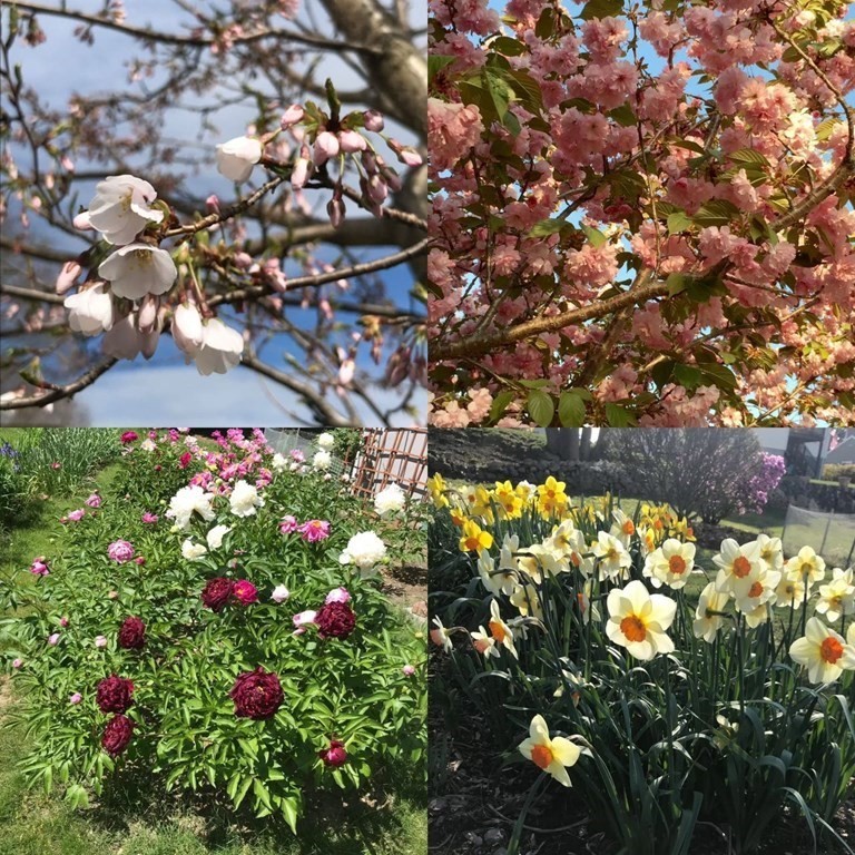 23 Clyde Ter, Arlington