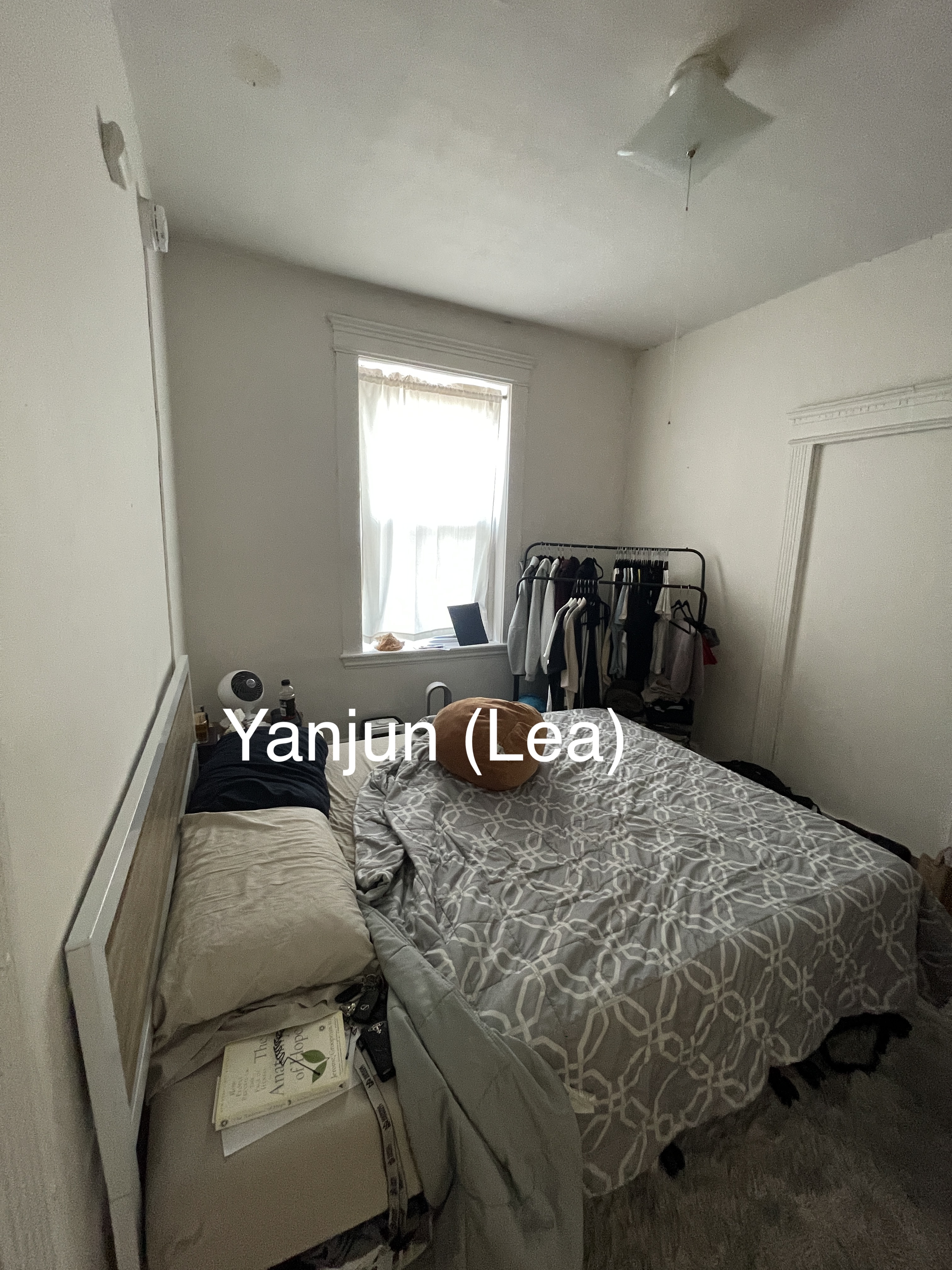 48 Brighton Ave, Brighton