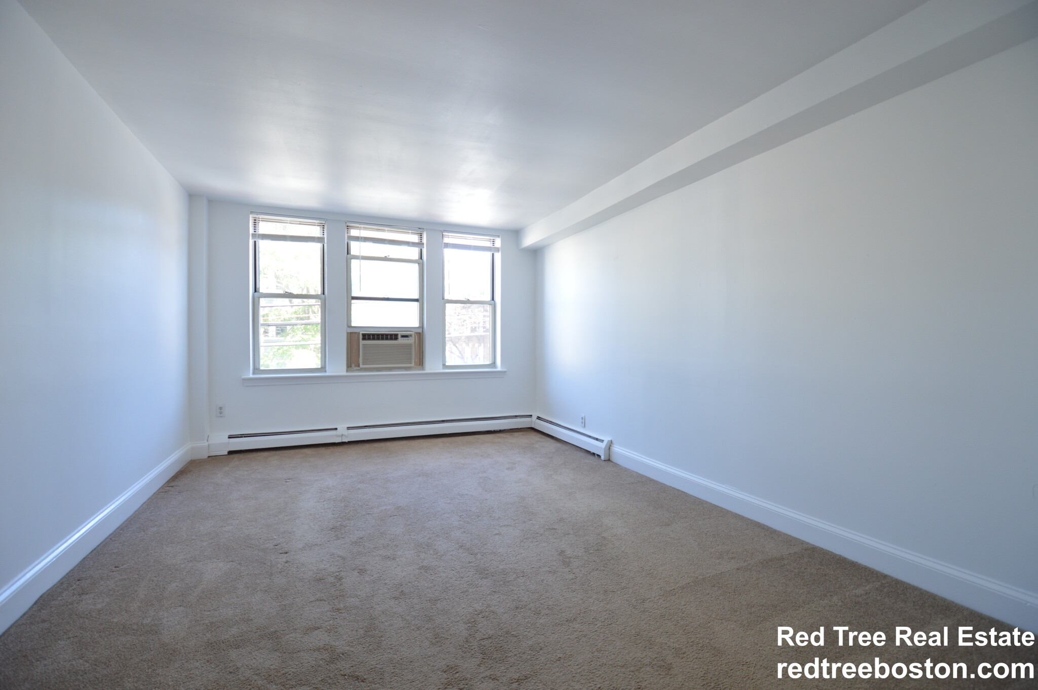 20 Colborne Rd, Brighton