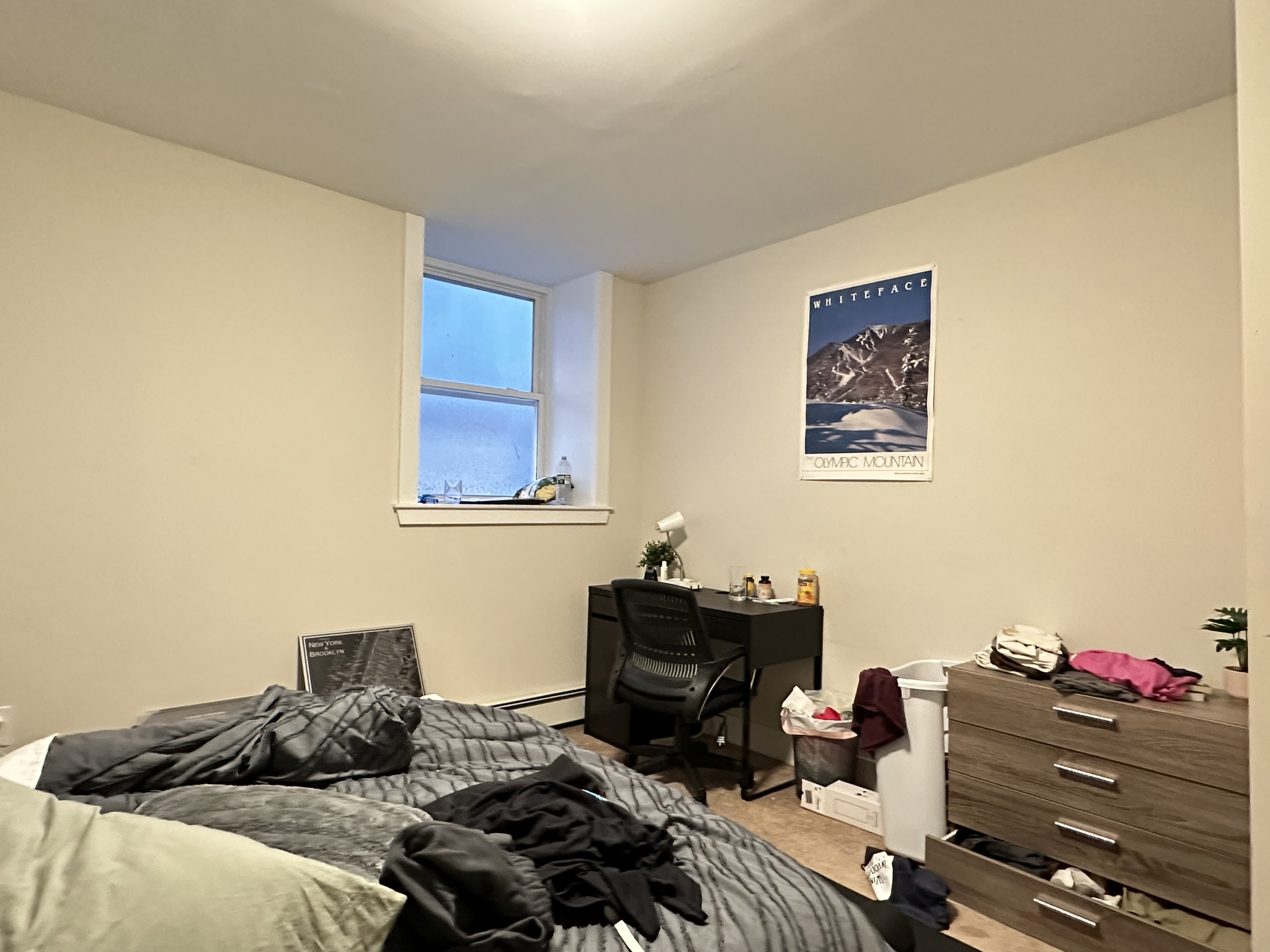 12 Wensley St, Mission Hill