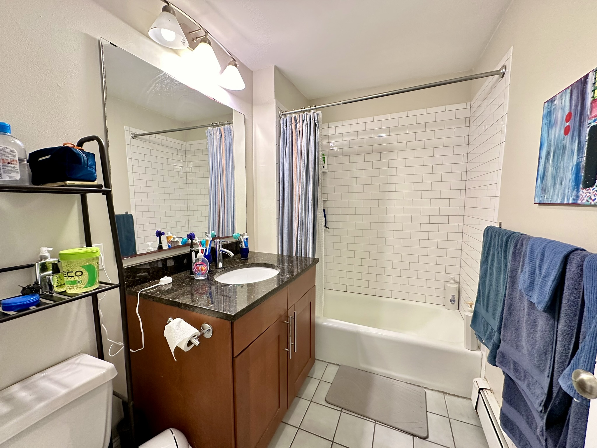 12 Wensley St, Mission Hill