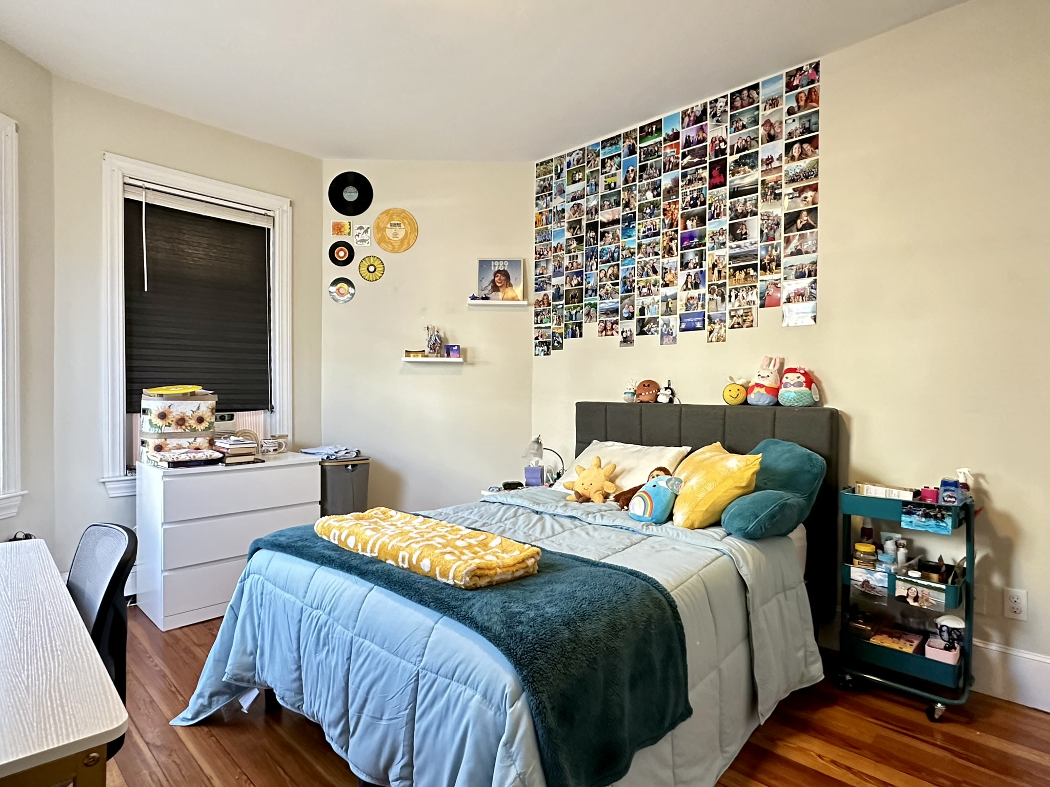 12 Wensley St, Mission Hill