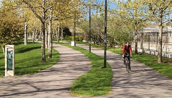 8 Wyvern St, Jamaica Plain