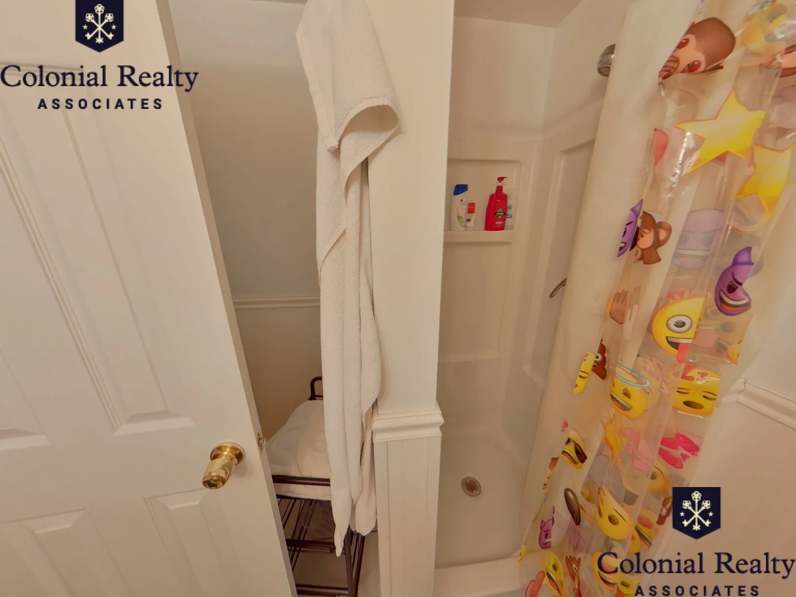 62 Egmont St, North Brookline