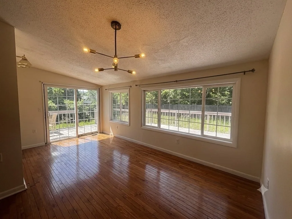 36 Oconnell St, East Springfield