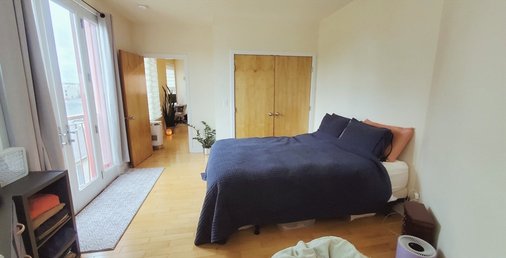 24 Bay State Rd, West Cambridge