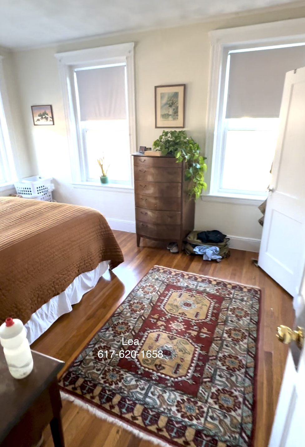 4 Vinal St, Brighton