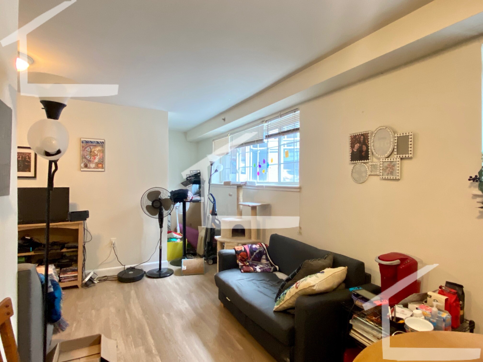 8 Griggs St, Brighton