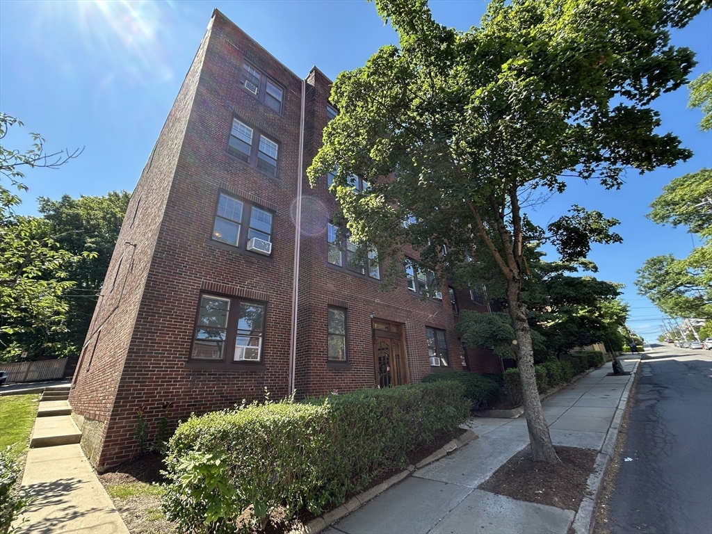 289 Corey Rd, Brighton