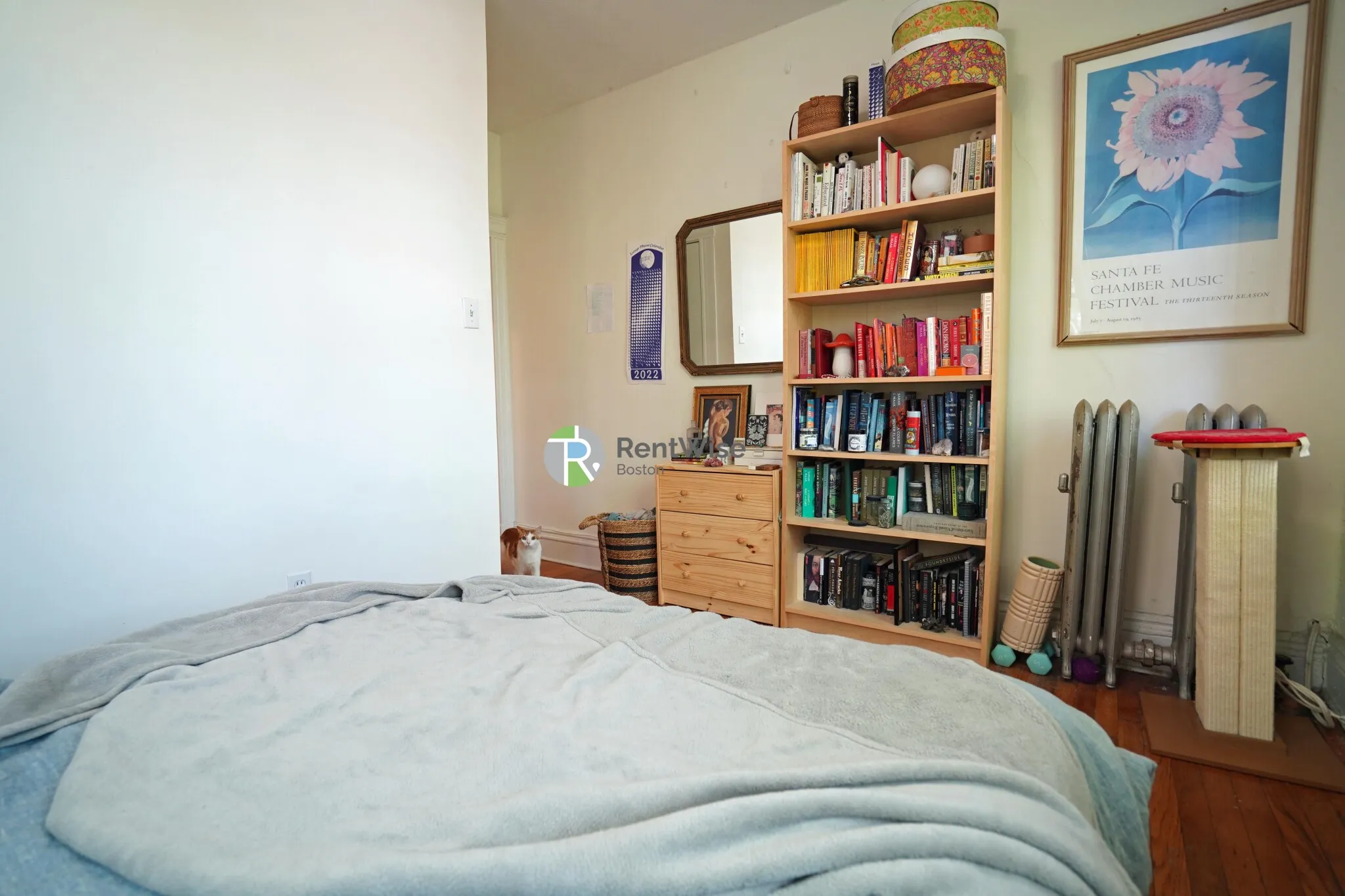 6 Camelot Ct, Brighton