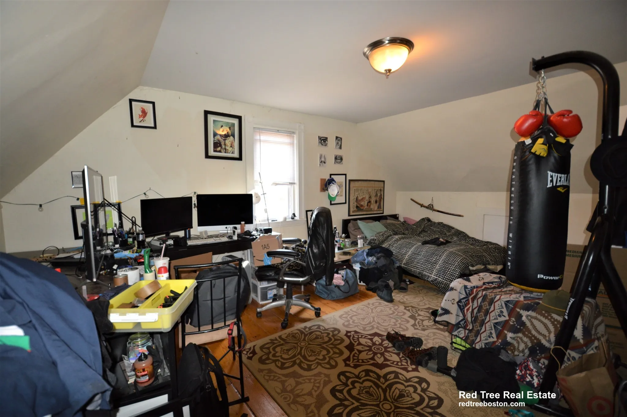 5 Murdock Ter, Brighton