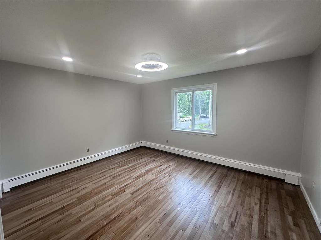 41 Will, Canton Junction