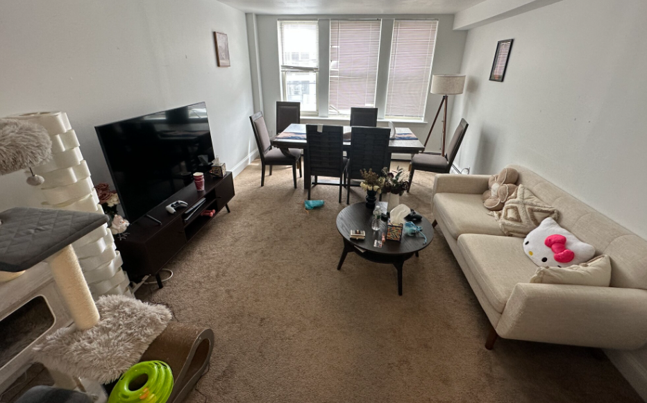 20 Colborne Rd, Brighton