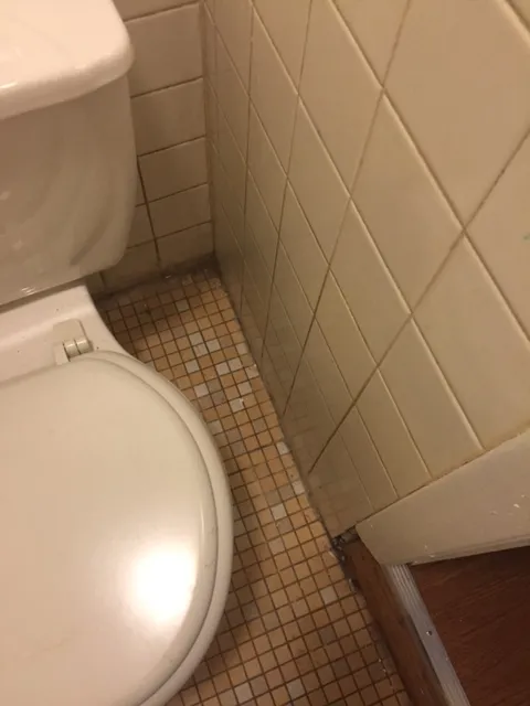 49 South Huntington Ave, Jamaica Plain