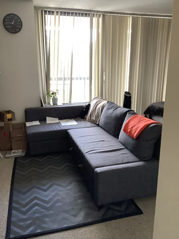 60 Longwood Ave, Coolidge Corner