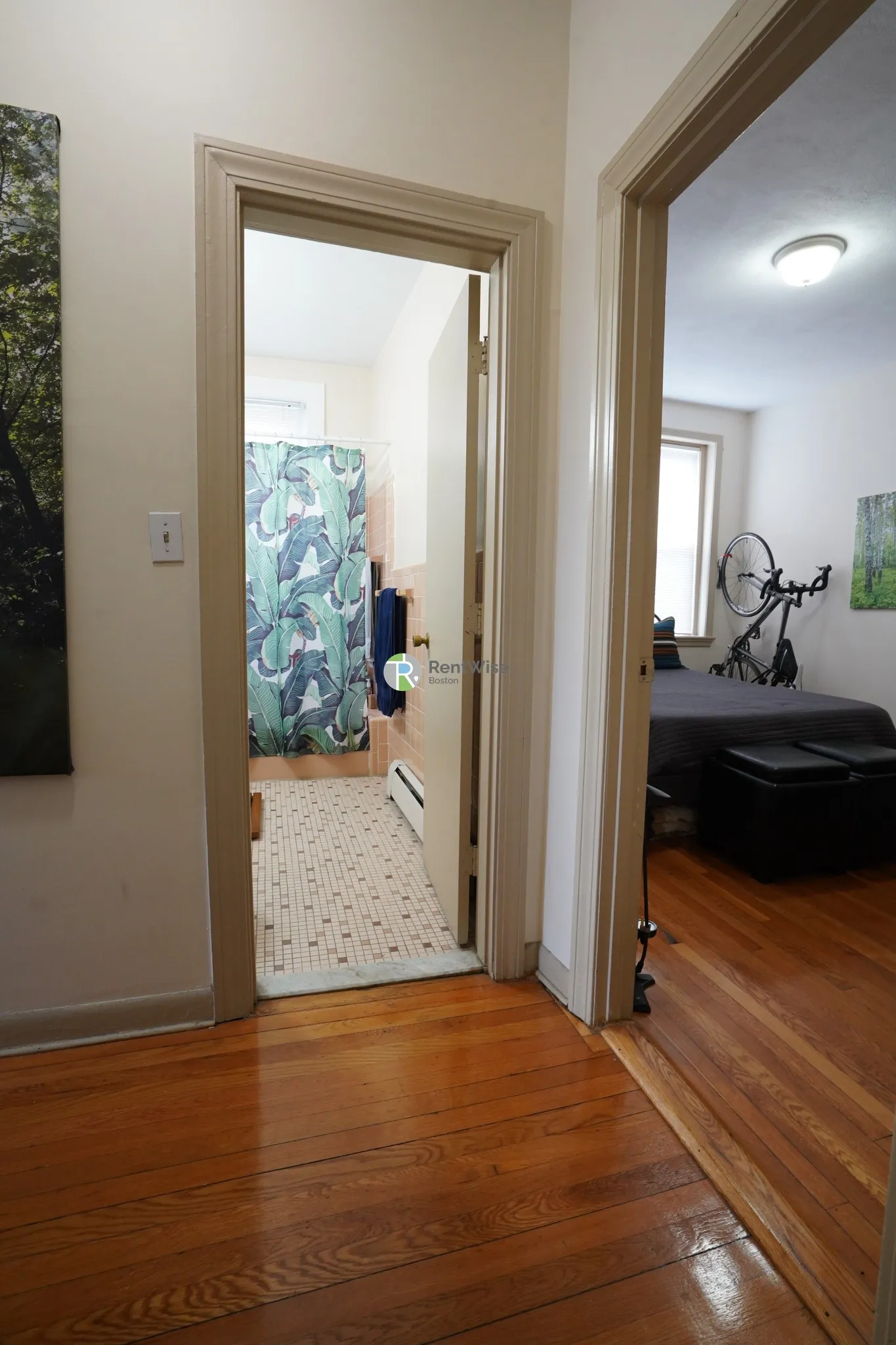 56 Brighton Ave, Brighton