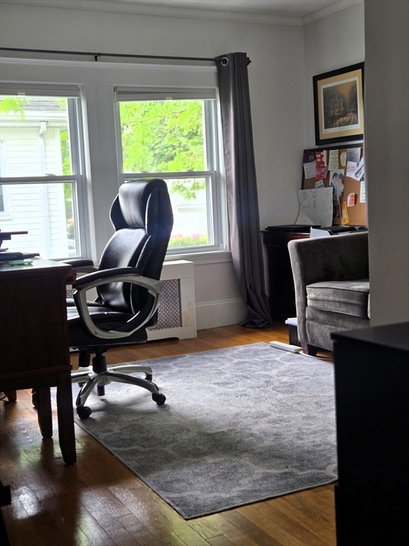 35 Reedsdale Rd, Milton