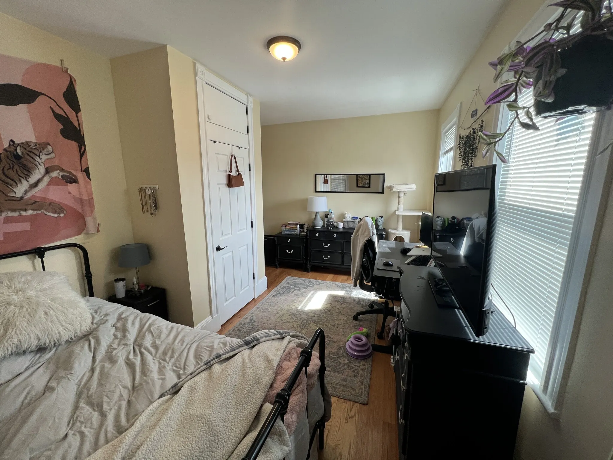 50 Lowell St, Spring Hill