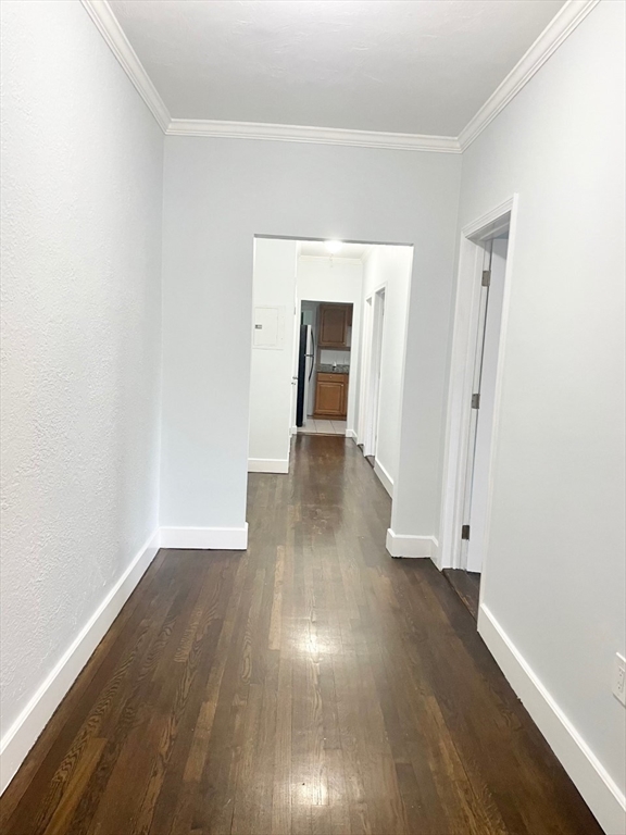 435 Walnut Ave, Roxbury