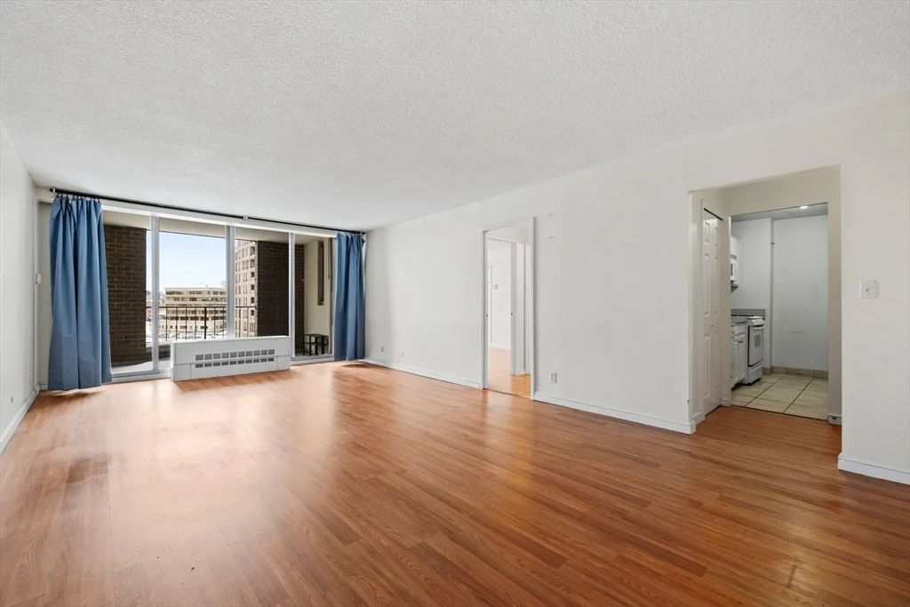 33 Pond, Brookline Village