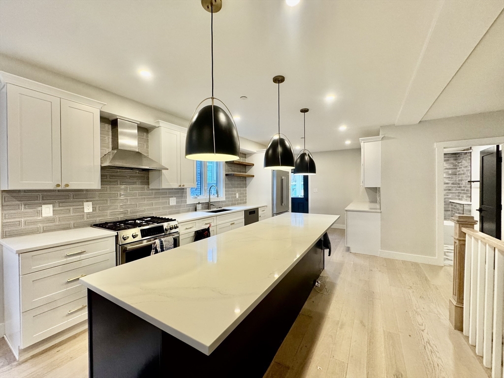 8 Robeson, Jamaica Plain